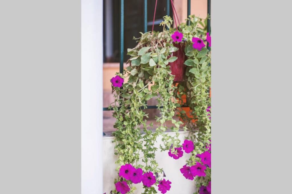 Ferienwohnung Spiti Maria Valanio Exterior foto